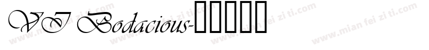 VI Bodacious字体转换